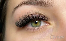 30% Off - All Lash Extensions