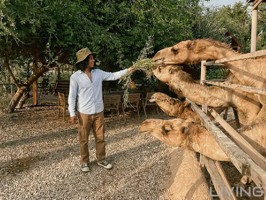 دخول مخفّض للمزرعة للكبار - 50 ريال