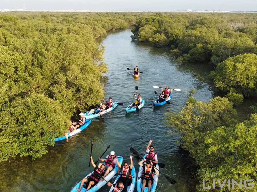 20% Off - Mangrove Kayaking Offer (WA Pre-Booking Required)