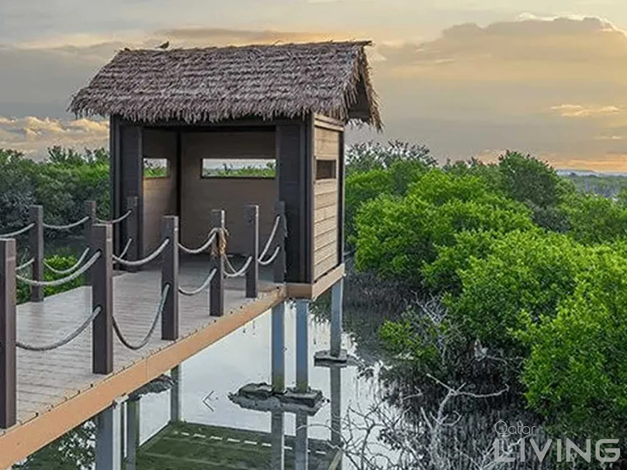 20% Off - Mangrove Kayaking Offer (WA Pre-Booking Required)