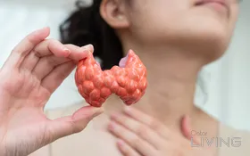 Basic Thyroid Profile Offer – 380 QAR