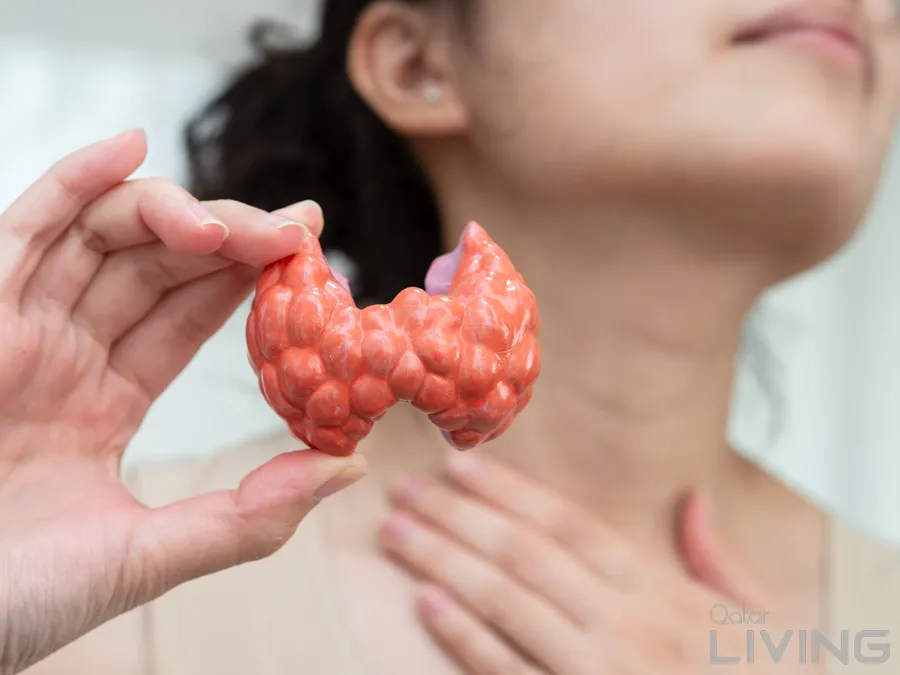 Basic Thyroid Profile Offer – 380 QAR