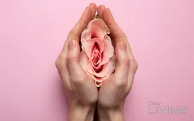 فحص تكيس المبايض الأساسي بـ 470 ريال