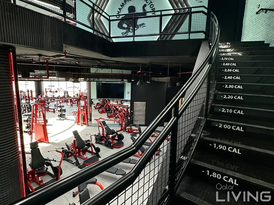 20% Off - 2-Month Gym Access